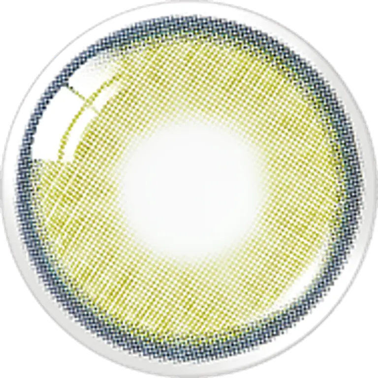 넬라 원데이 애쉬올리브(10P)